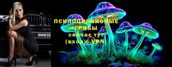 гидра Дмитровск