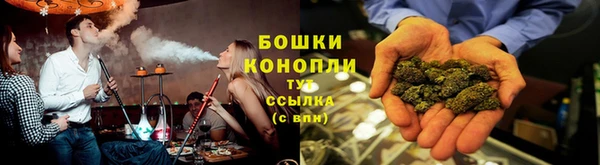 гидра Дмитровск