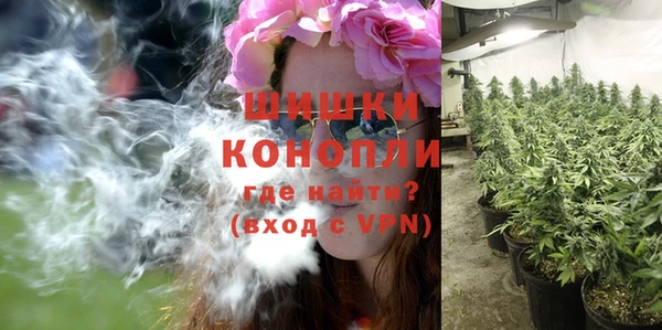 гидра Дмитровск