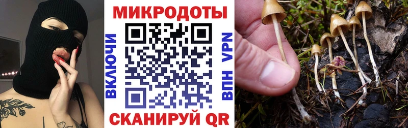 Галлюциногенные грибы GOLDEN TEACHER  Ефремов 