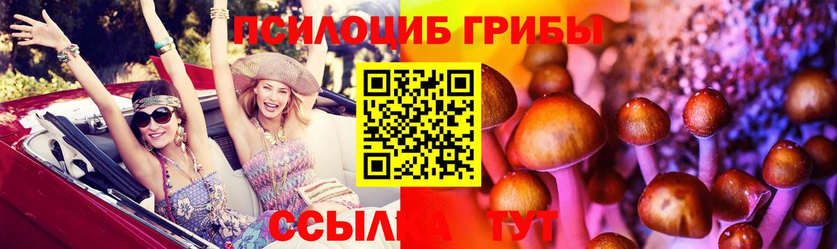 Псилоцибиновые грибы GOLDEN TEACHER  Вход с VPN  Ефремов 