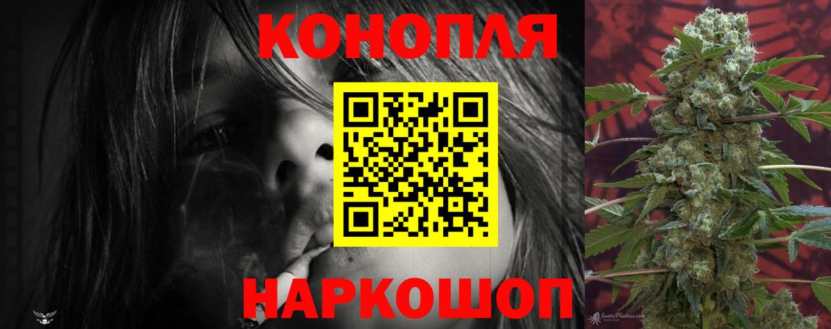 Бошки Шишки план  Вход с VPN  Марихуана планчик  Конопля индика  Ефремов  Бошки Шишки семена 